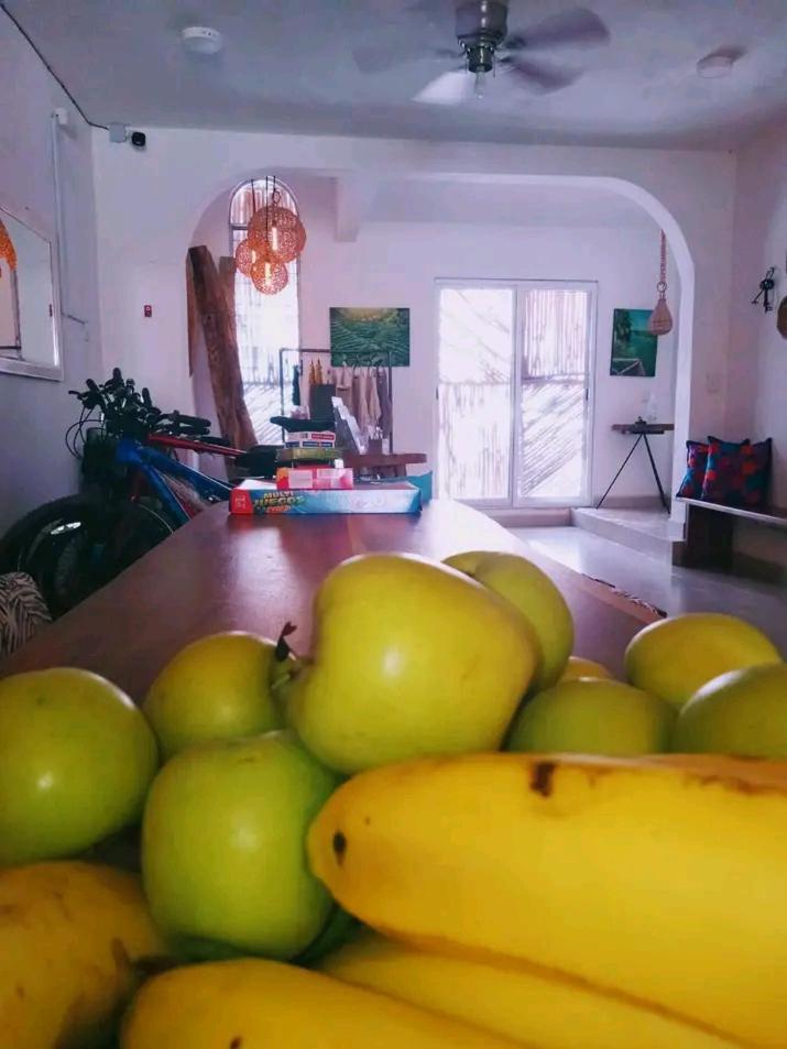 バカラル Casa Bizu Bed & Breakfast エクステリア 写真